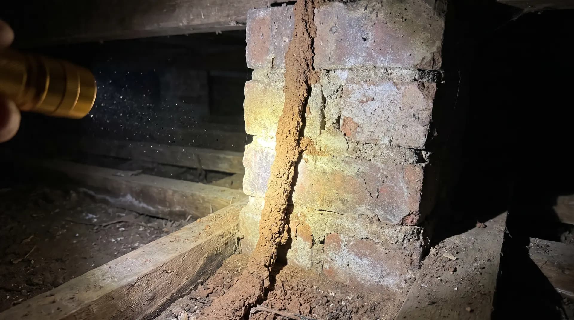 Illustrative: a termite mud lead running up a brick pier in a subfloor, lit by torchlight