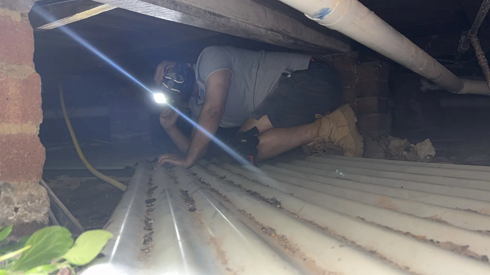 Ibrahim from Sure Sight Inspections inside a subfloor with a head torch during a Sydney building inspection
